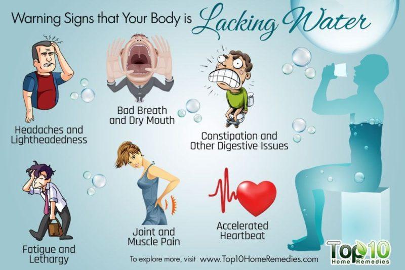 The Science Behind hydration and Brain Function