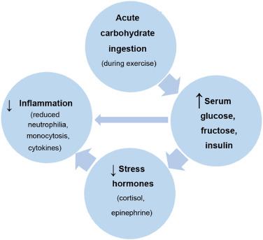 Understanding ‍How Physical Activity Boosts Immune Defense