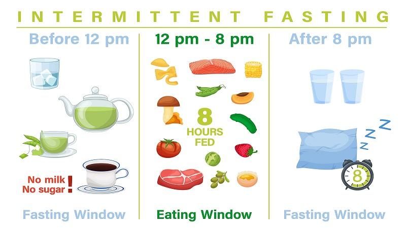 Understanding the Science Behind Intermittent⁤ Fasting