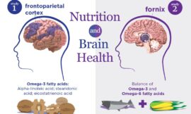 The Role of Omega-3 Fatty Acids in Brain Health
