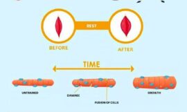 The Role of Sleep in Recovery and Muscle Growth