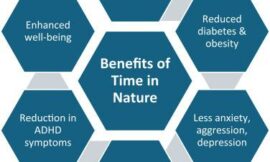 The Health Benefits of Spending Time in Nature