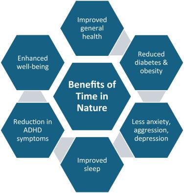 Read more about the article The Health Benefits of Spending Time in Nature