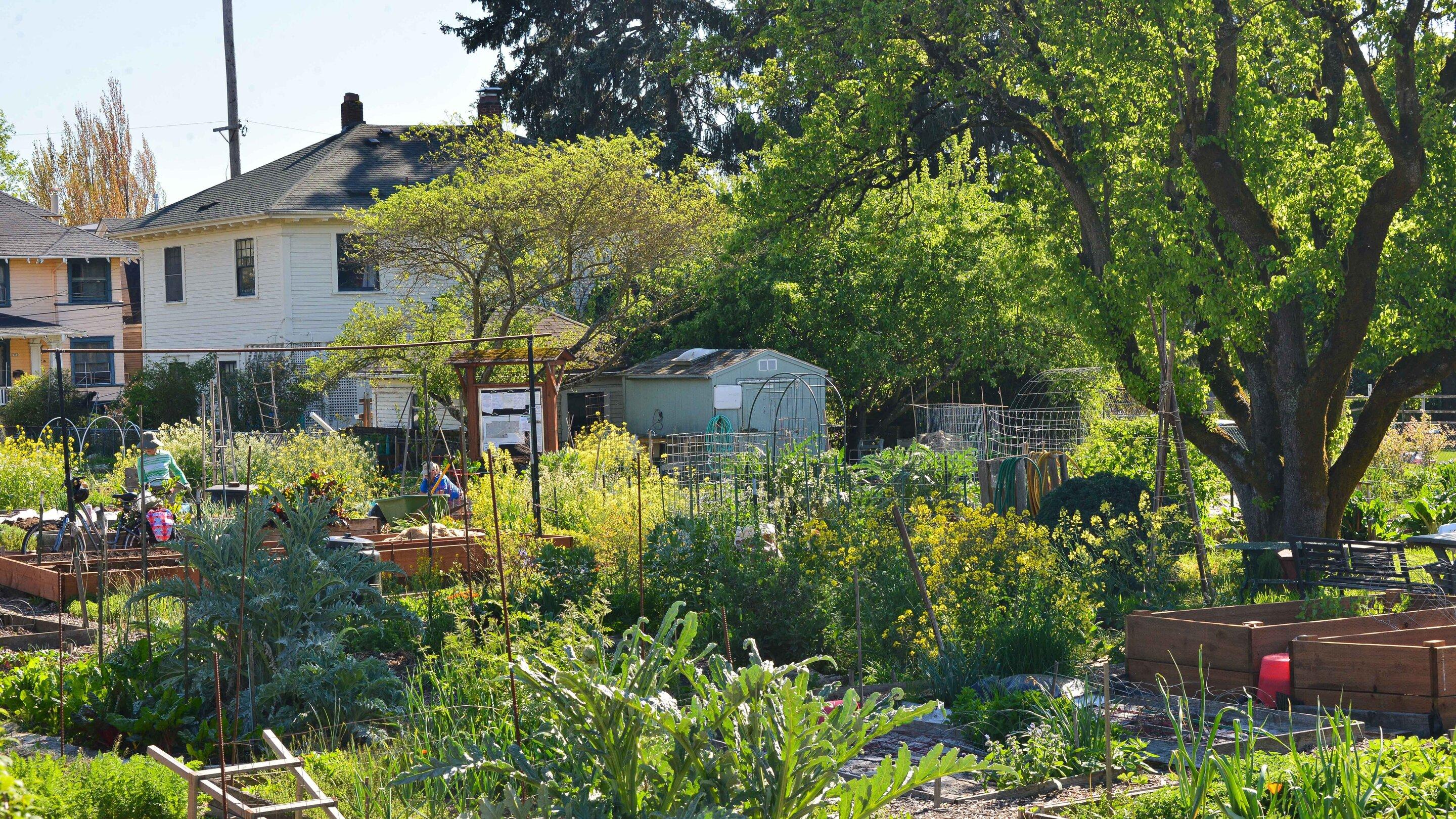 Immune ⁢System Strengthening Through Regular Green Space Visits