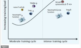 The Link Between Exercise and Immune Function