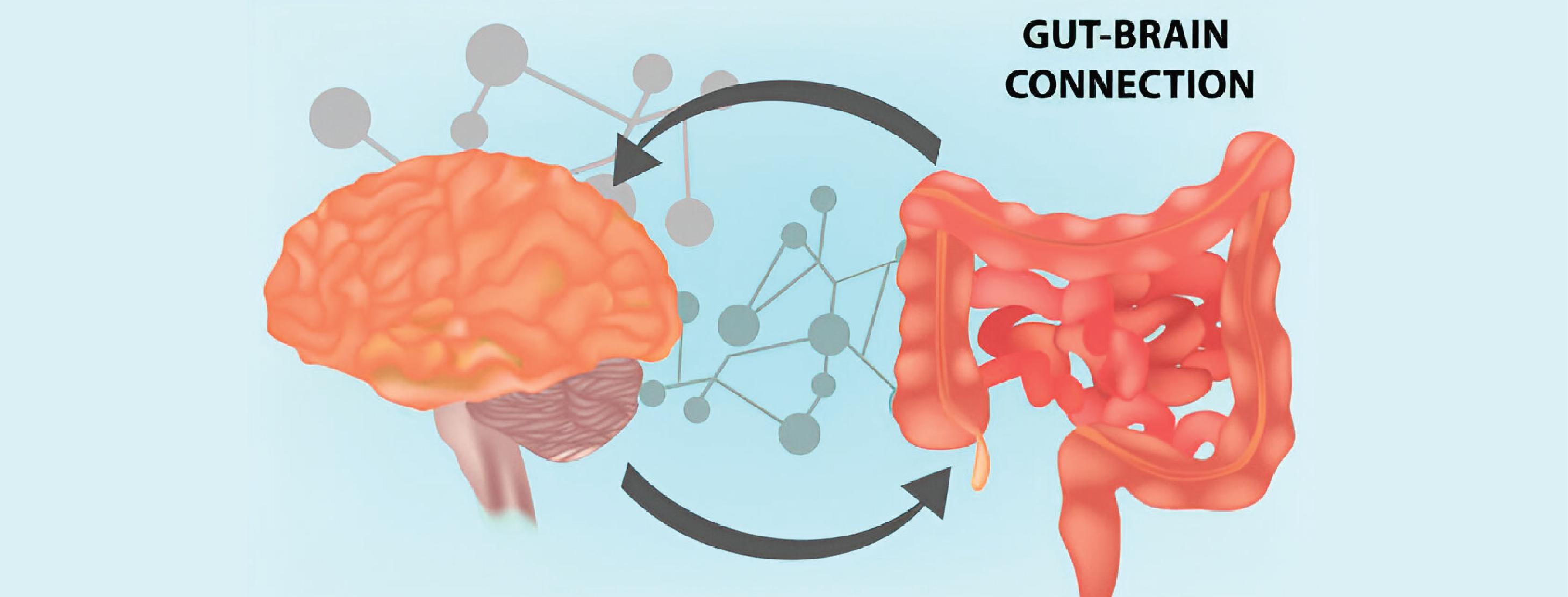 Understanding the Gut-Brain Connection⁣ and ⁢Its Influence on‌ Mental ‍Health