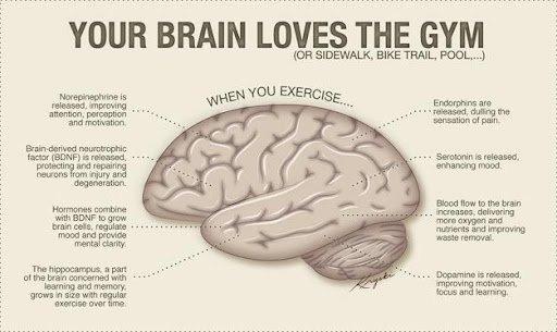 Understanding the Link Between Physical Activity and Brain Chemistry